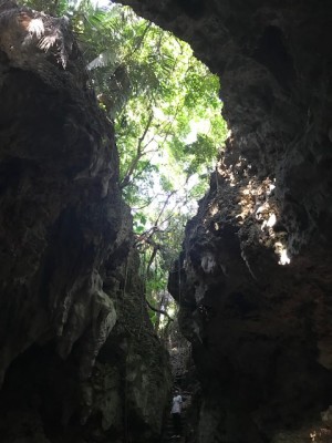 宮古島-ヌドクビアブ